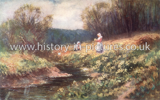Collecting Flowers in Early Sping in Epping Forest, Essex. c.1905